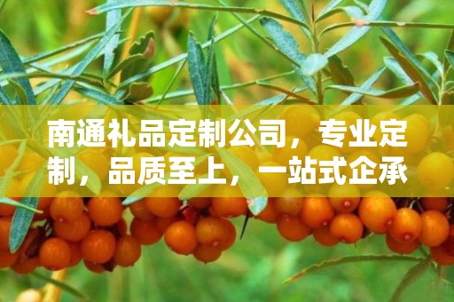 南通礼品定制公司，专业定制，品质至上，一站式企承礼品供应链服务